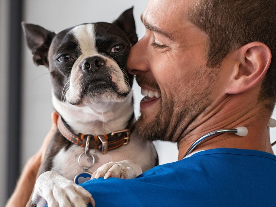 A man with a stethoscope around his neck holds a dog